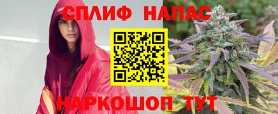 бошки Кимры