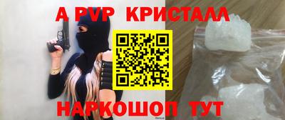 spice Кингисепп