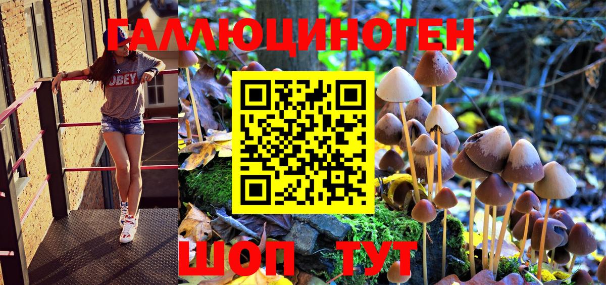 Комсомольск-на-Амуре  Псилоцибиновые грибы Psilocybe  Вход с VPN 
